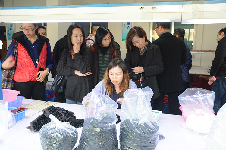 参观草莓视频色板APP官网下载包装车间